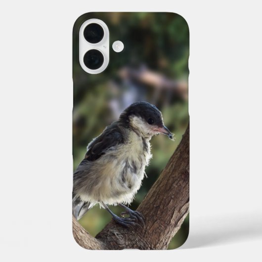 パルスのティディ専攻のー Case-Mate iPhoneケース (裏面)