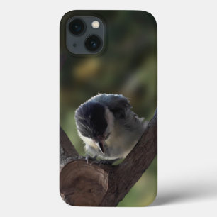パルスのティディ専攻のー iPhone 13ケース