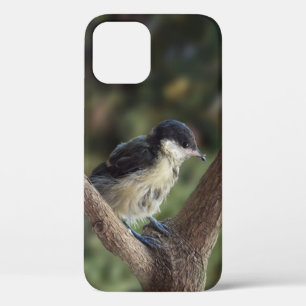 パルスのティディ専攻のー iPhone 12 PROケース
