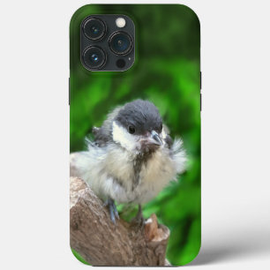 パルスのティディ専攻のー iPhone 13 PRO MAXケース