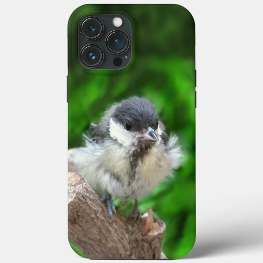 パルスのティディ専攻のー Case-Mate iPhoneケース (裏面)
