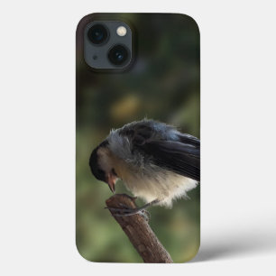 パルスのティディ専攻のー iPhone 13ケース