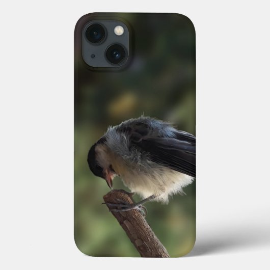 パルスのティディ専攻のー Case-Mate iPhoneケース (裏面)