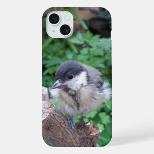 パルスのティディ専攻のー iPhone 15 PLUSケース