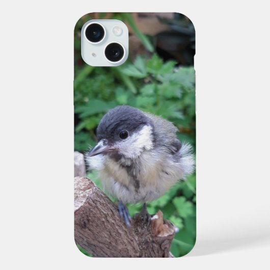 パルスのティディ専攻のー iPhoneケース (裏面)
