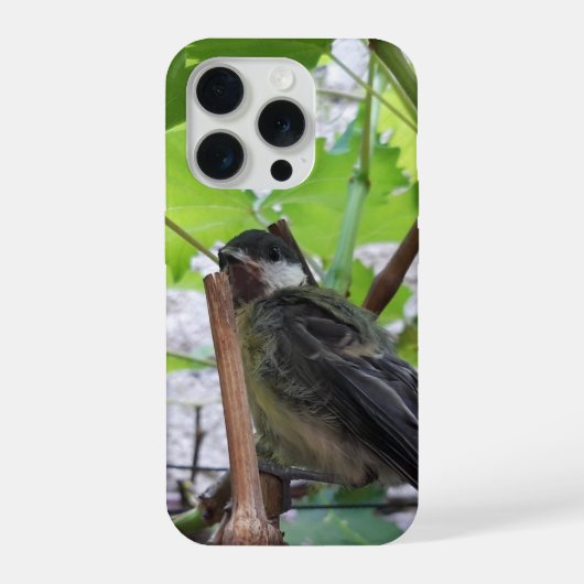 パルスのティディ専攻のー iPhoneケース (裏面)