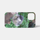 パルスのティディ専攻のー iPhoneケース (裏面横)