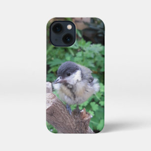 パルスのティディ専攻のー iPhone 13 MINIケース