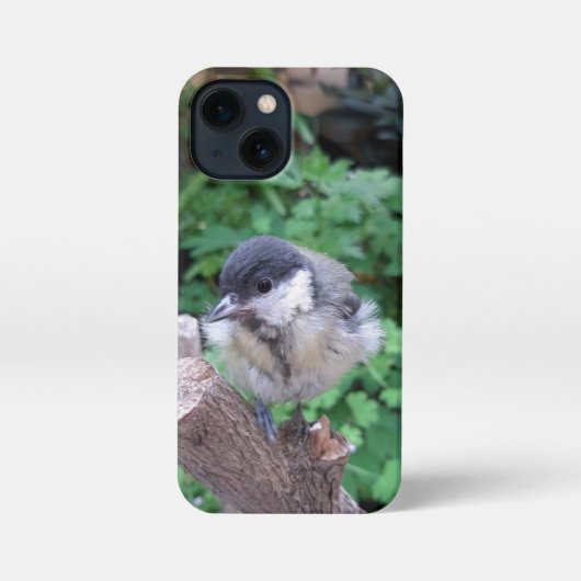 パルスのティディ専攻のー iPhoneケース (裏面)