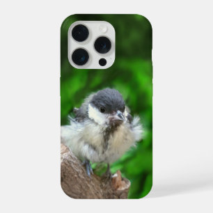 パルスのティディ専攻のー iPhone 15 PROケース