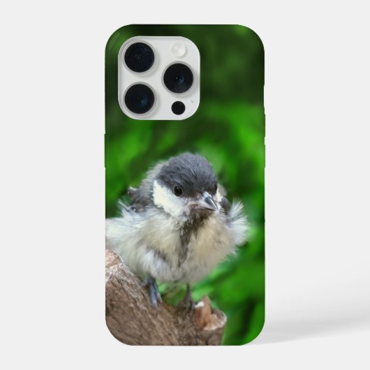 パルスのティディ専攻のー iPhoneケース (裏面)