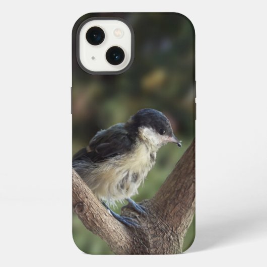 パルスのティディ専攻のー iPhoneケース (裏面)