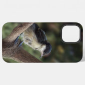 パルスのティディ専攻のー iPhoneケース (裏面横)