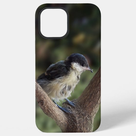 パルスのティディ専攻のー iPhoneケース (裏面)