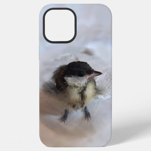 パルスのティディ専攻のー iPhoneケース (裏面)