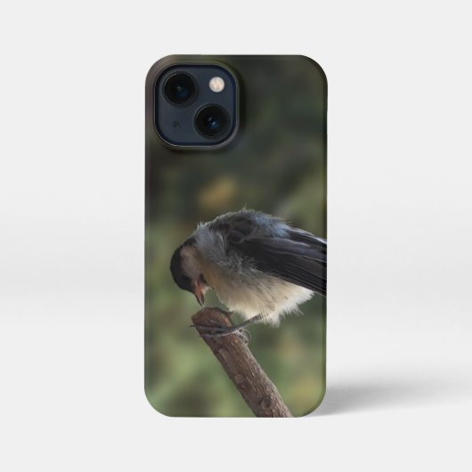 パルスのティディ専攻のー iPhoneケース (裏面)