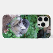 パルスのティディ専攻のー iPhoneケース (裏面横)