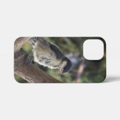 パルスのティディ専攻のー iPhoneケース (裏面横)