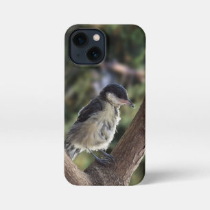 パルスのティディ専攻のー iPhone 13 MINIケース
