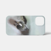 パルスのティディ専攻のー iPhoneケース (裏面横)