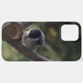 パルスのティディ専攻のー iPhoneケース (裏面横)