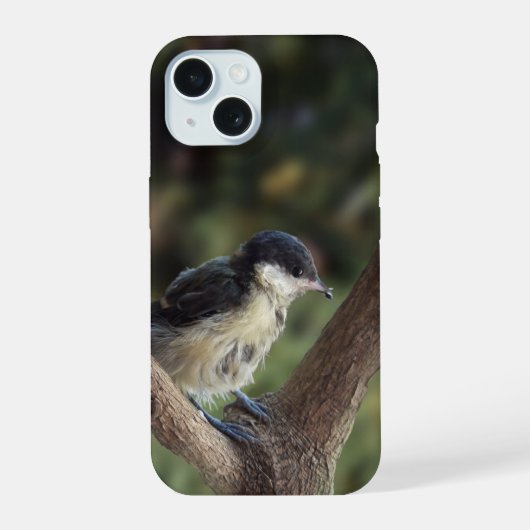 パルスのティディ専攻のー iPhone 15ケース (裏面)