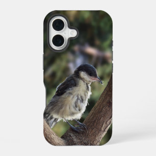 パルスのティディ専攻のー iPhone 16ケース