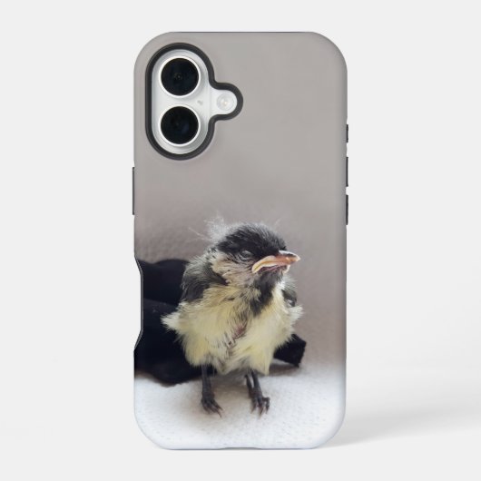パルスのティディ専攻のー iPhone 16ケース (裏面)