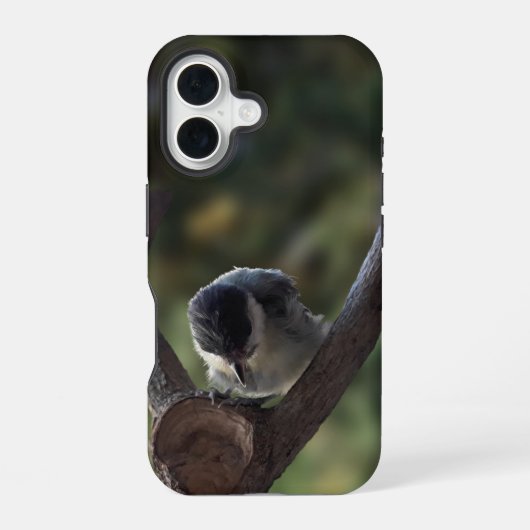 パルスのティディ専攻のー iPhone 16ケース (裏面)
