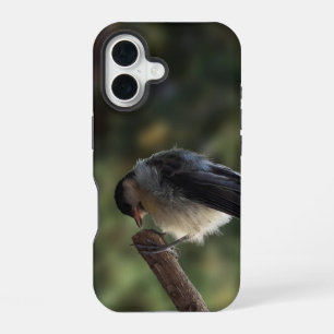 パルスのティディ専攻のー iPhone 16ケース