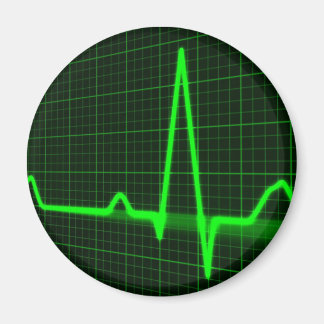 パルス表示 マグネット