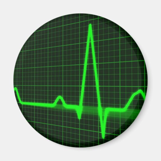 パルス表示 マグネット (正面)