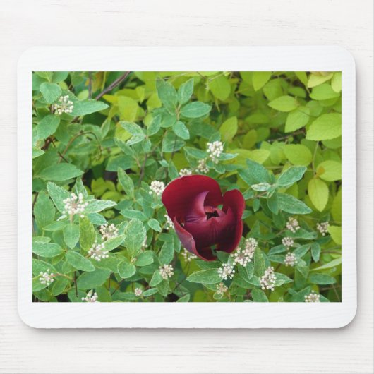 パルテールデフルーアオプランタン マウスパッド (正面)