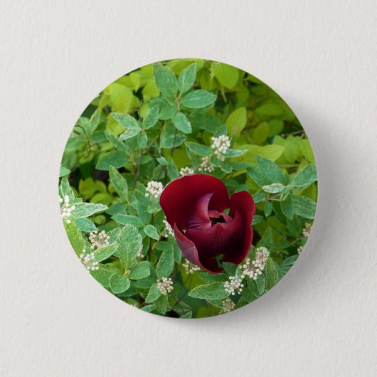 パルテールデフルーアオプランタン 缶バッジ (正面)