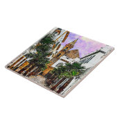 パルマ教会ヌエストラセノラ。スペインのカディス。 タイル (側面)