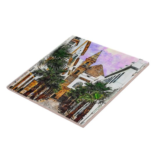 パルマ教会ヌエストラセノラ。スペインのカディス。 タイル (側面)