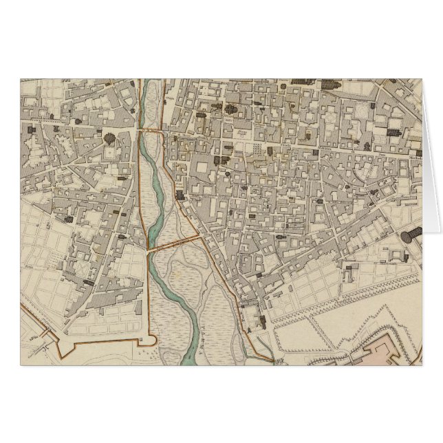 パルマ (正面横)