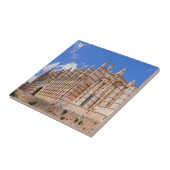 パルマ・デ・マヨルカ大聖堂 – スペイン タイル (側面)