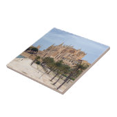 パルマ・デ・マヨルカ大聖堂 – スペイン タイル (側面)