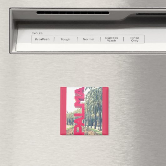 パルマ マグネット (インサイチュ (食洗機))