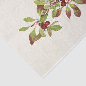 パルミカンベリーバイマリーブヴォーウォルコット 薄葉紙 (詳細)