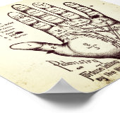 パルミストリー ポスター (角)