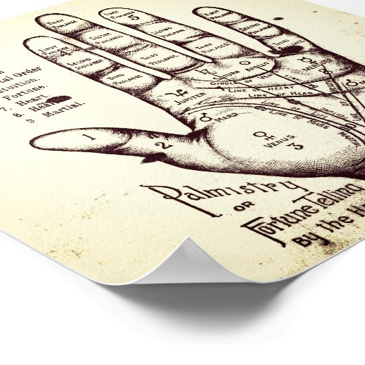 パルミストリー ポスター (角)