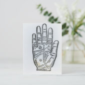 パルミストリー ポストカード (スタンド正面)