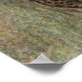 パルミリアの全盲 ポスター (角)