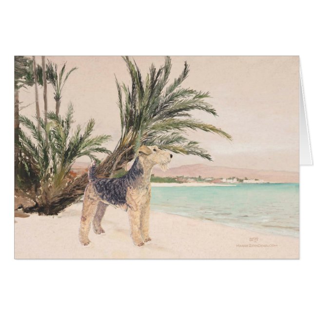 パルミービーチ (正面横)