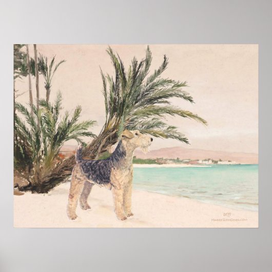 パルミービーチ ポスター (正面)