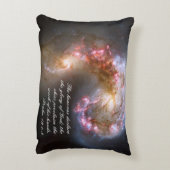 パルム19感動的 アクセントクッション (裏面(縦))