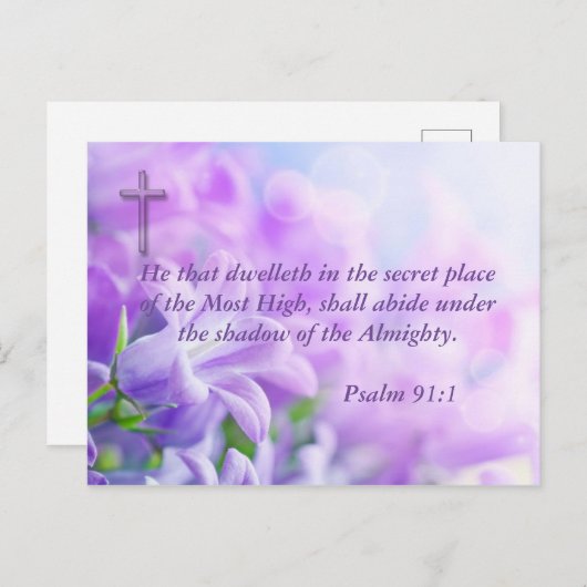 パルム91 ポストカード (正面/裏面)