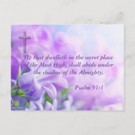 パルム91 ポストカード